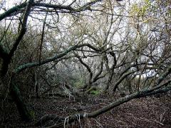 171007_18h23_Rulann 
